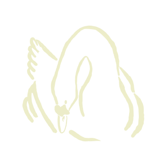 Zwaantje logo